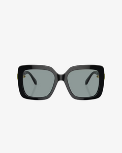 Swarovski | SK6001 | 1001/1 | 55