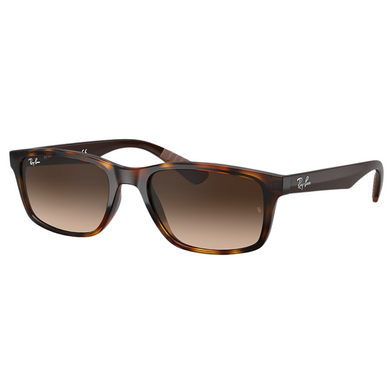 Rayban | RB4234 | 6205/13 | 58