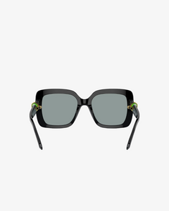 Swarovski | SK6001 | 1001/1 | 55
