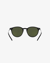 Load image into Gallery viewer, Polo | PH4169 | 500171 | 51