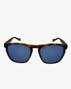 Arnette | 4203 | 2152/55 | 55