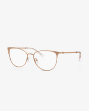 Load image into Gallery viewer, Armani Exchange | AX1034 | 6103 | 52