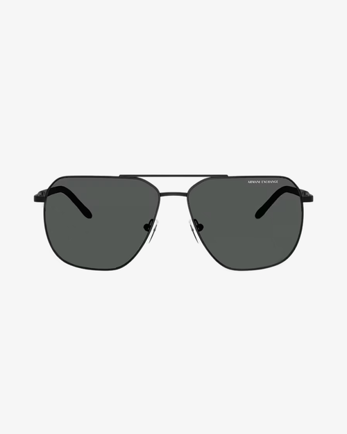 Armani Exchange | AX2057S | 600087 | 59