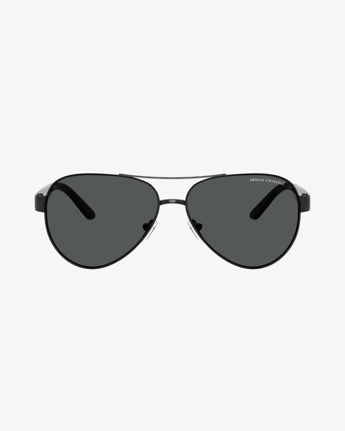 Armani Exchange | AX2034S | 600087 | 59