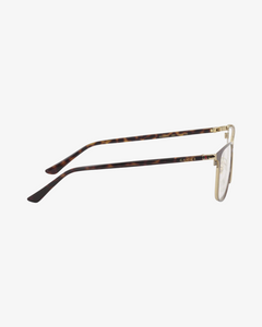 GUCCI | GG0294O | 003 | 54