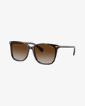 Ralph Lauren | RL5293 | 5003/3B | 56