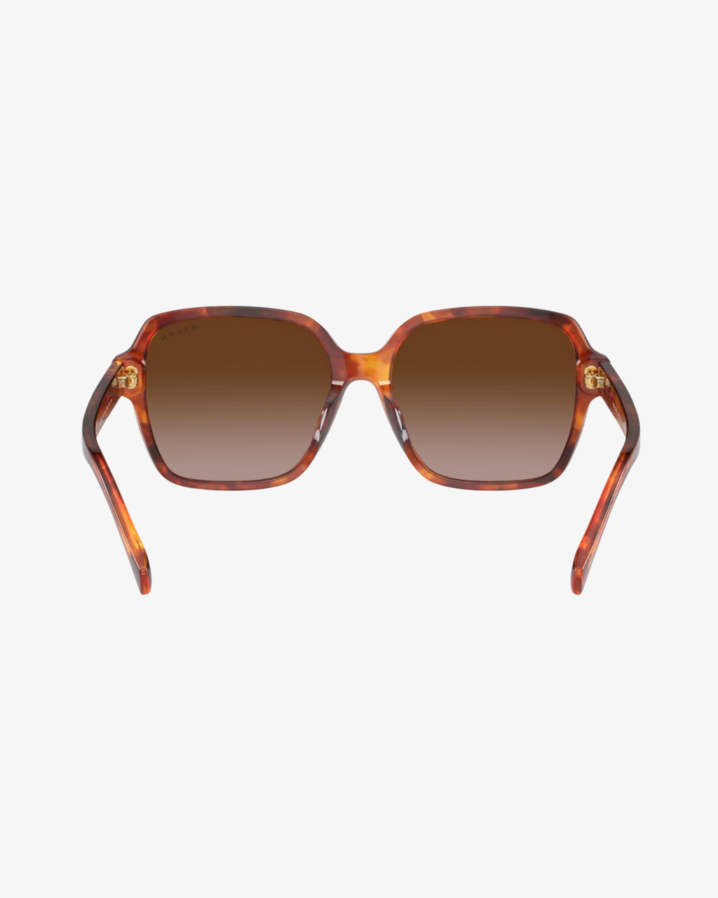 Ralph Lauren | RL5304U | 6011/13 | 57