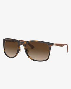 Rayban | RB4313 | 894/13 | 58