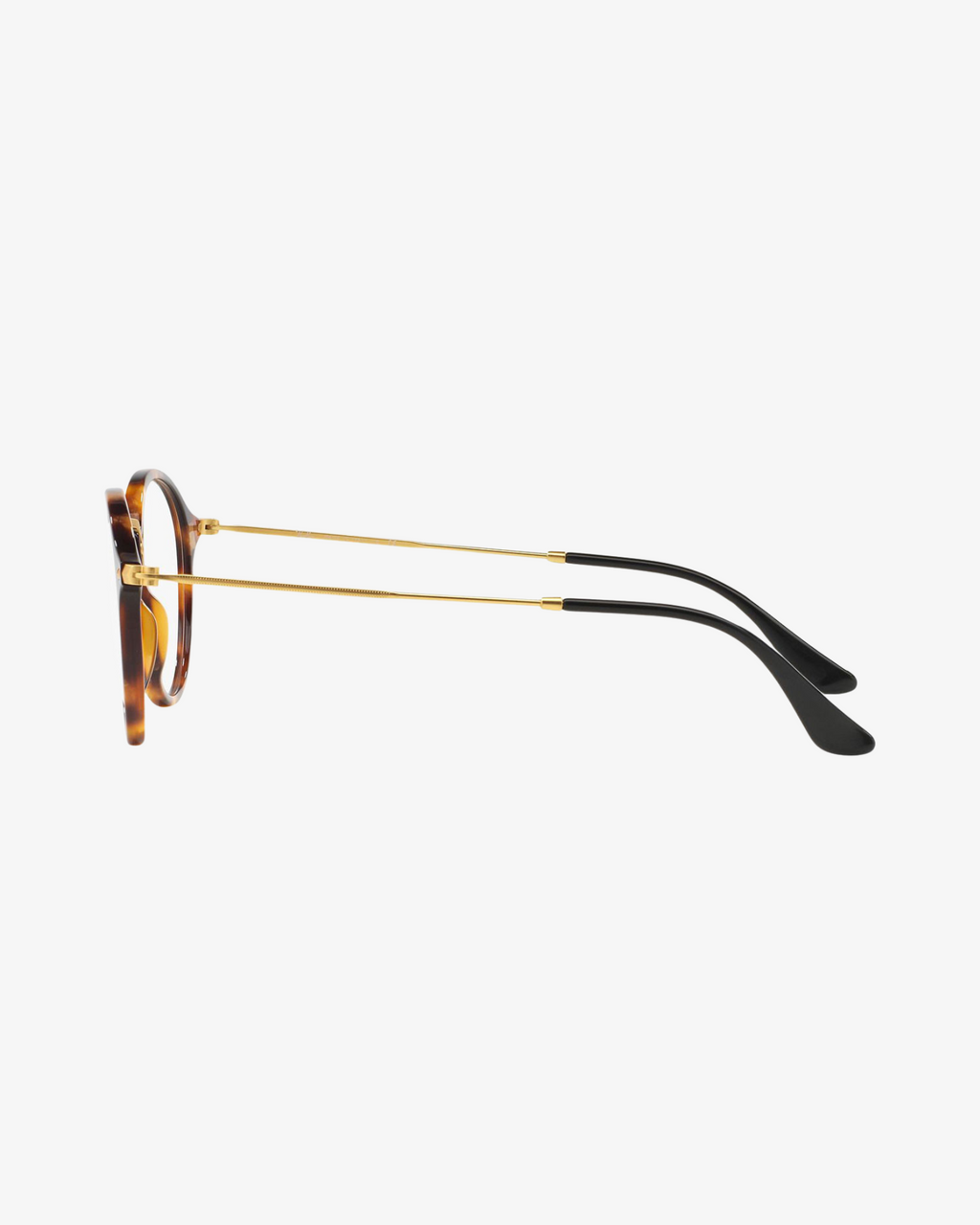 Rayban | RB2447V | 5494 | 49