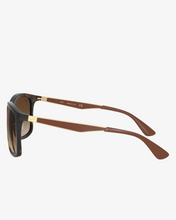 Load image into Gallery viewer, Rayban | RB4313 | 894/13 | 58