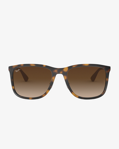 Rayban | RB4313 | 894/13 | 58