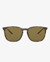 Load image into Gallery viewer, Rayban | RB4387 | 71073 | 56