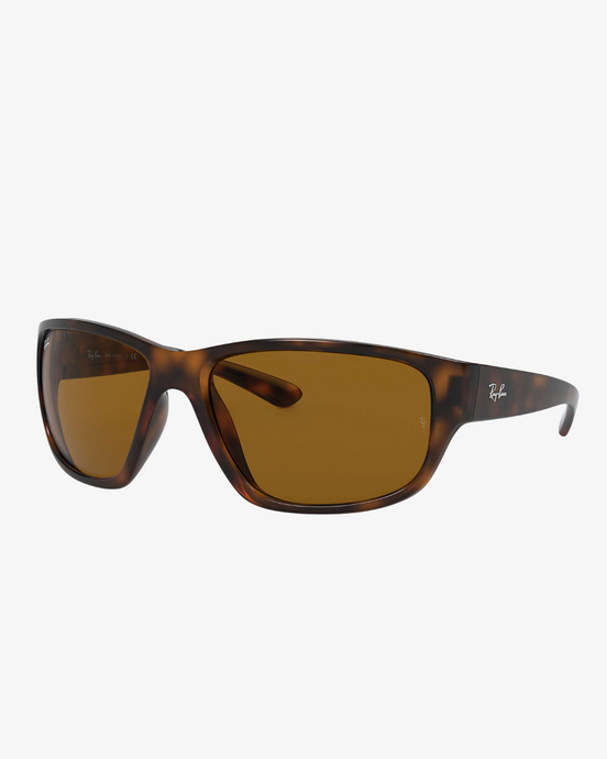 Rayban | RB4300 | 710/33 | 63