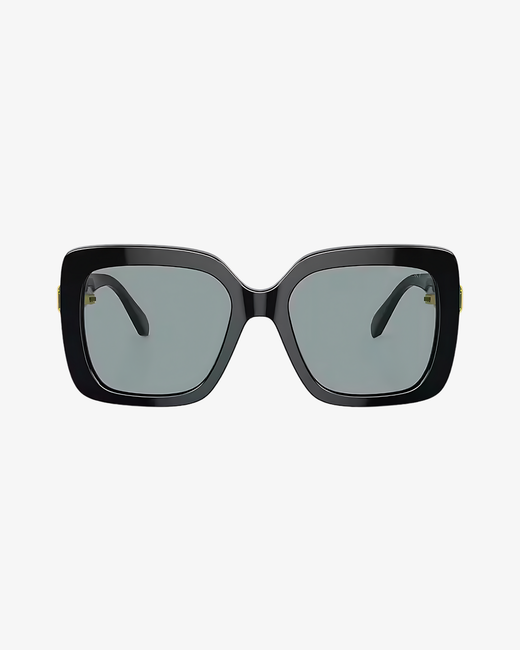 Swarovski | SK6001 | 1001/1 | 55