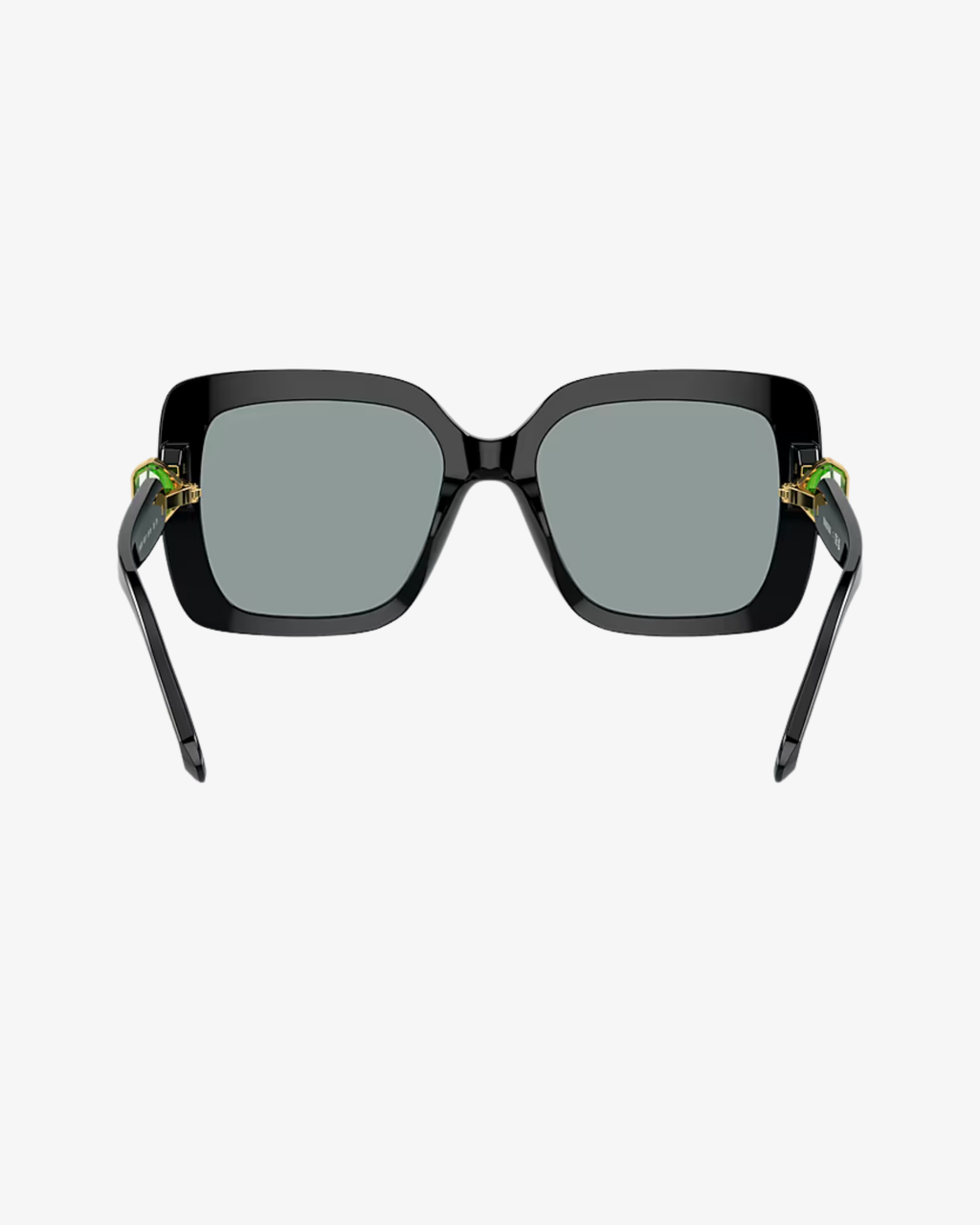 Swarovski | SK6001 | 1001/1 | 55