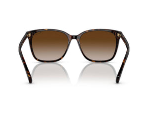 Ralph Lauren | RA5293 | 5003/3B | 56