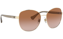 Load image into Gallery viewer, Ralph Lauren | RA4131 | 911613 | 57