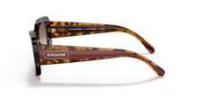 Load image into Gallery viewer, Coach | HC8336U | 50027Z | 51