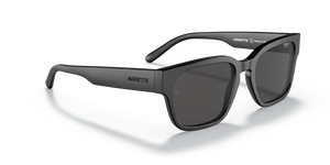 Arnette | AN4294 | 74025 | 49 [TYPE Z]
