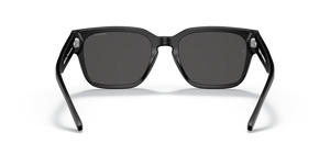 Arnette | AN4294 | 74025 | 49 [TYPE Z]