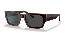 Arnette | AN4296 | 122387 | 54 [DAKEN]